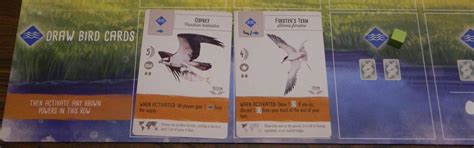 How to play Wingspan: board game’s rules, setup and how to .